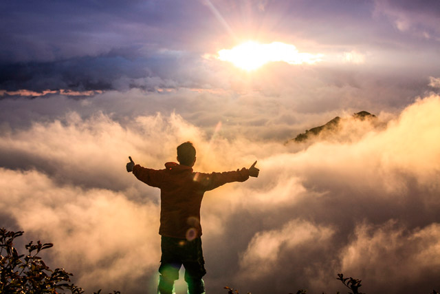 Mirror Bean